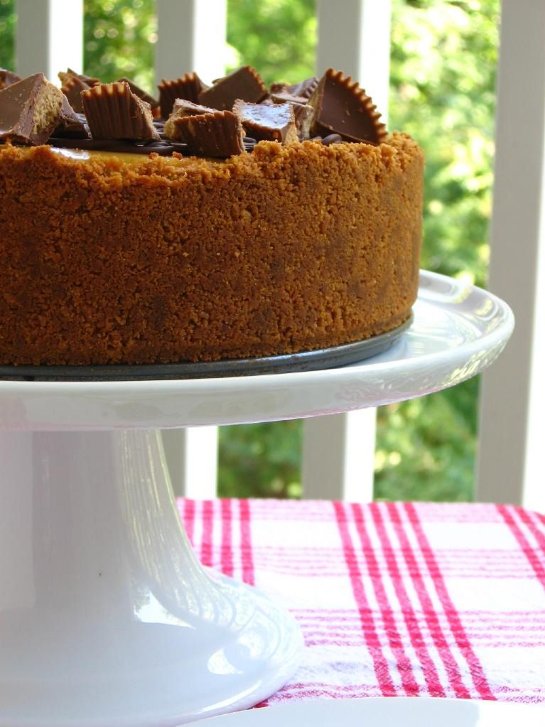 Chocolate Peanut Butter Bliss Cheesecake and Project Food Blog Willow Bird Baking